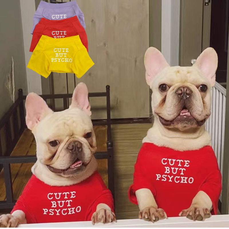 Summer Clothing In French - Fransız Bulldog Pug Yelek Gömlek Yazlık