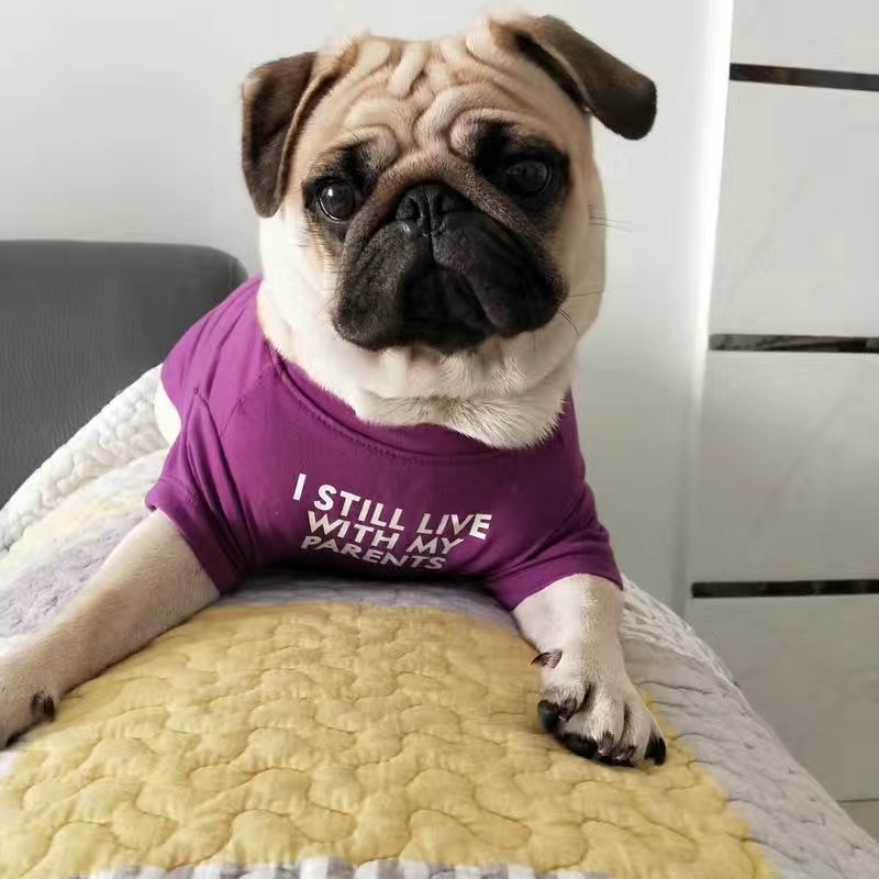 Fransız Bulldog Pug Yelek Göml - Summer Clothing In French incelemesi ve fiyatı