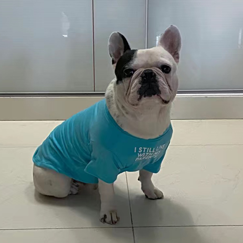 Fransız Bulldog Pug Yelek Göml - Summer Clothing In French incelemesi ve fiyatı