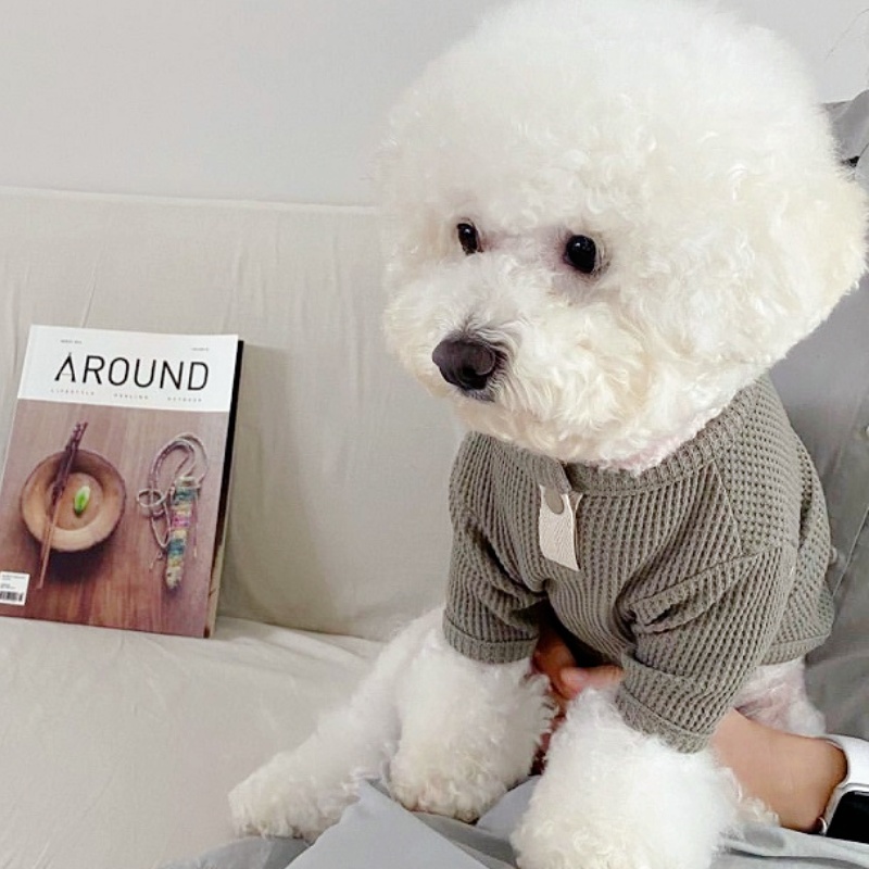 Yaz Pet Gömlek Katı Köpek T-Sh - Summer Clothing In French incelemesi ve fiyatı